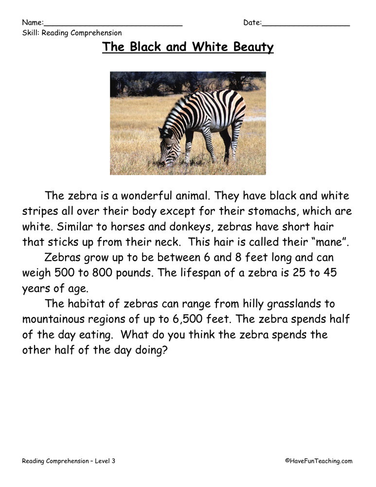 black beauty worksheet