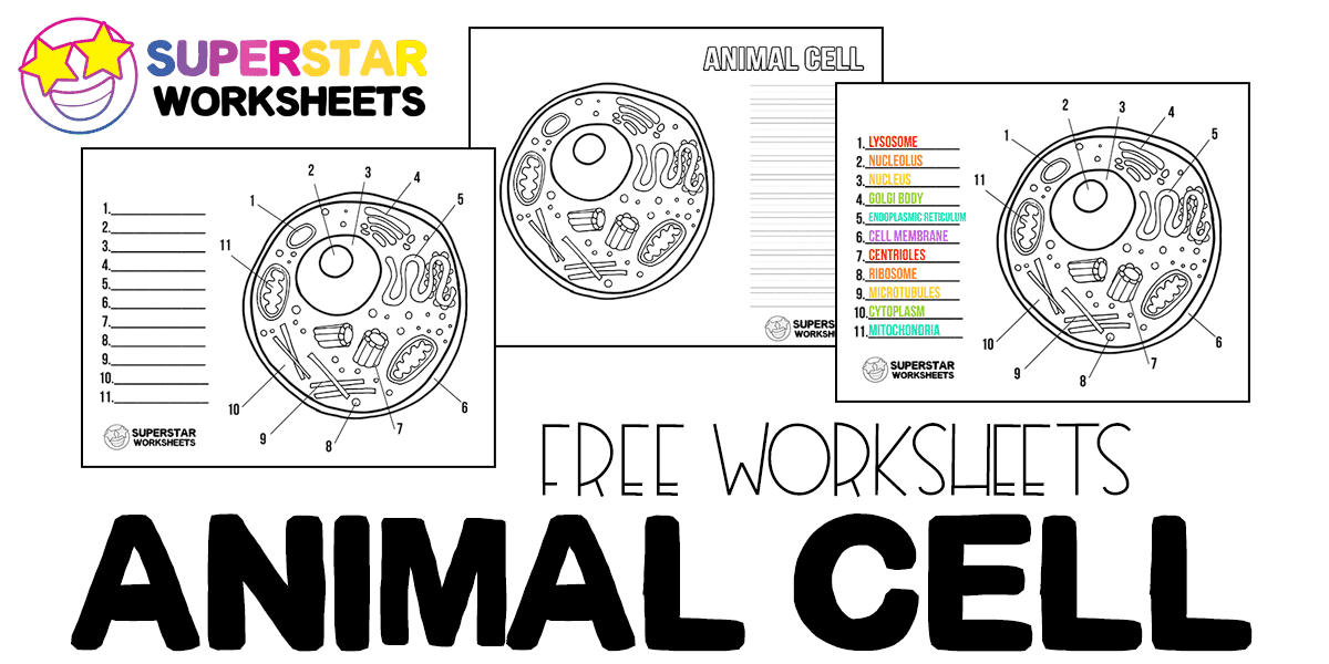 blank animal cell worksheet