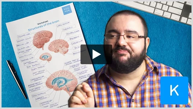 blank brain worksheet