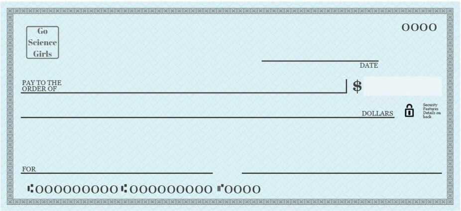 blank check worksheet