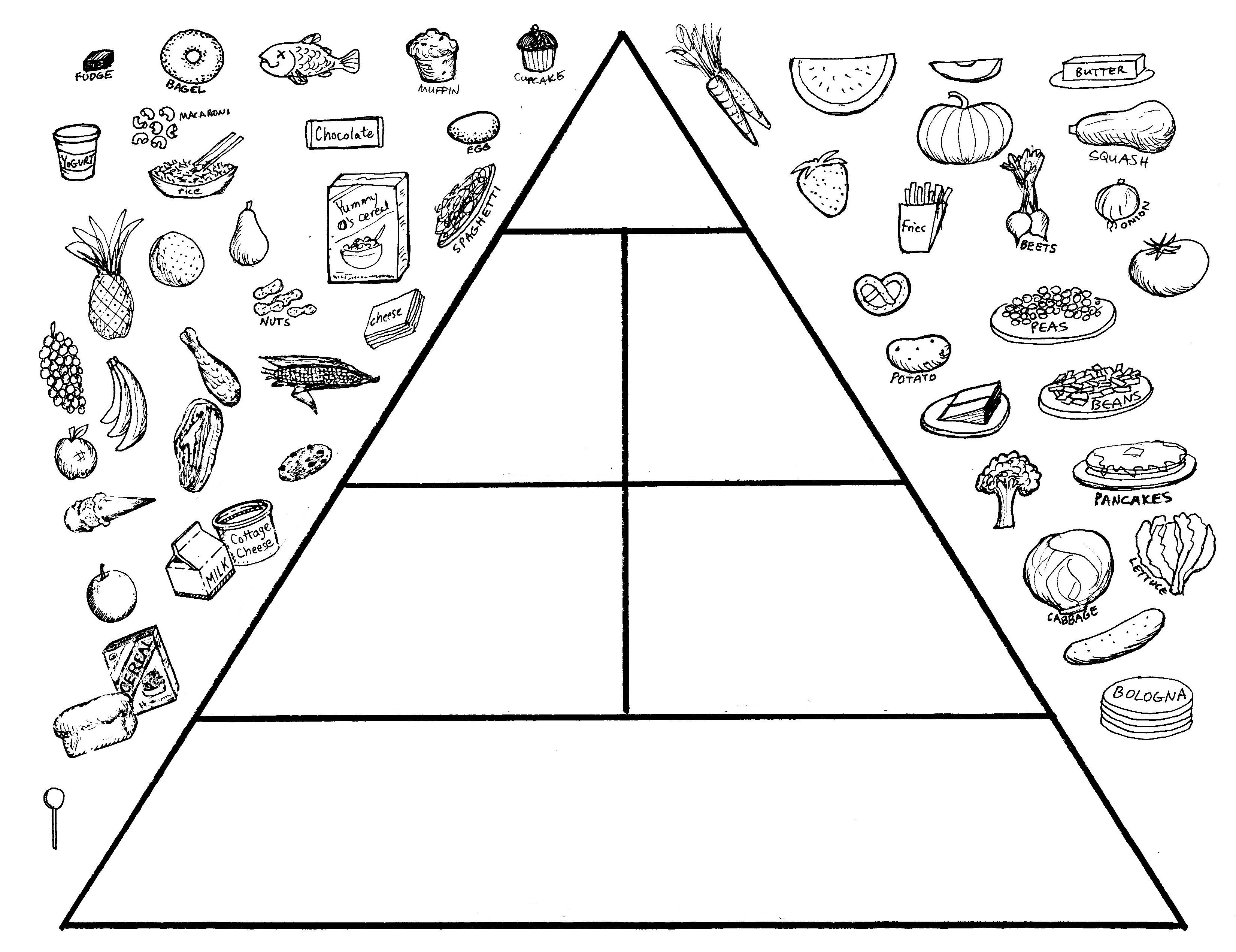 blank food pyramid worksheet