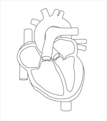 Label the Heart | tanyamynar  