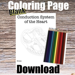 blank heart diagram worksheet