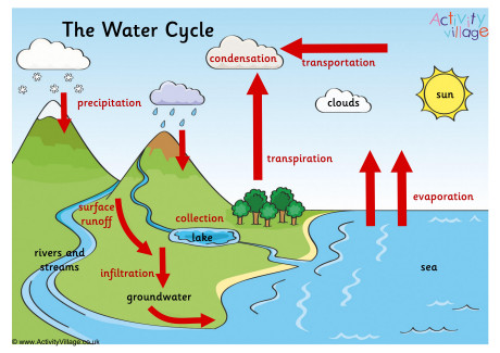 blank water cycle worksheet