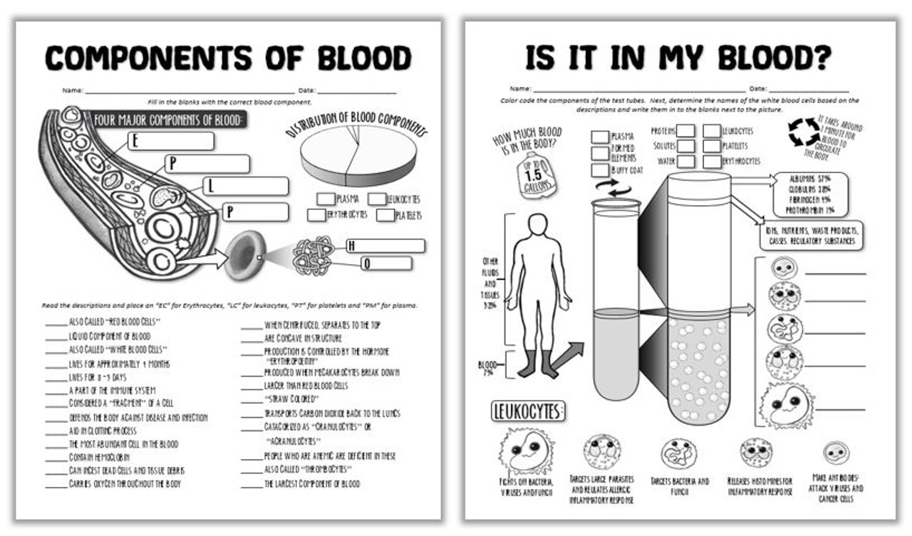 Is It In My Blood? The Components of Blood Worksheet- Distance Learning  Option!