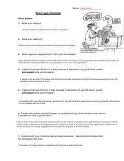 Kami Export - Copy of Kami Export.blood types worksheet.pdf ...