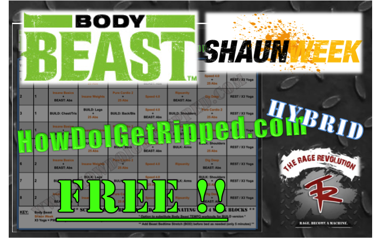 body beast hybrid workout calendar