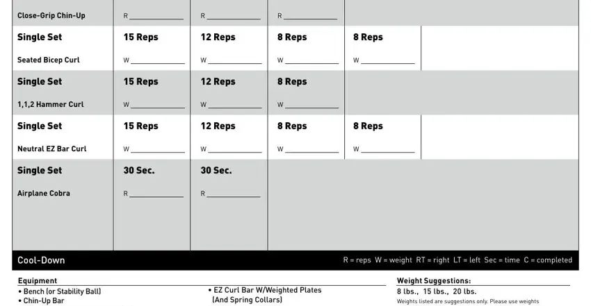 body beast workout pdf