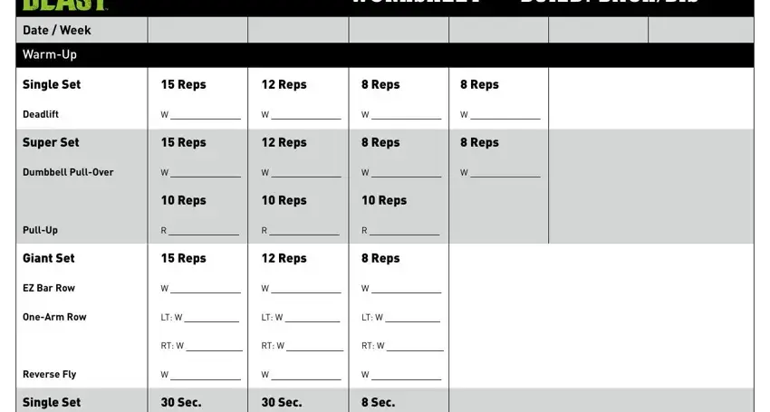 Body Beast Workout Sheet ≡ Fill Out Printable PDF Forms Online