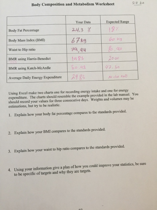 body fat worksheet