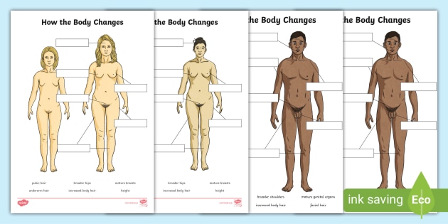 body for life women worksheet
