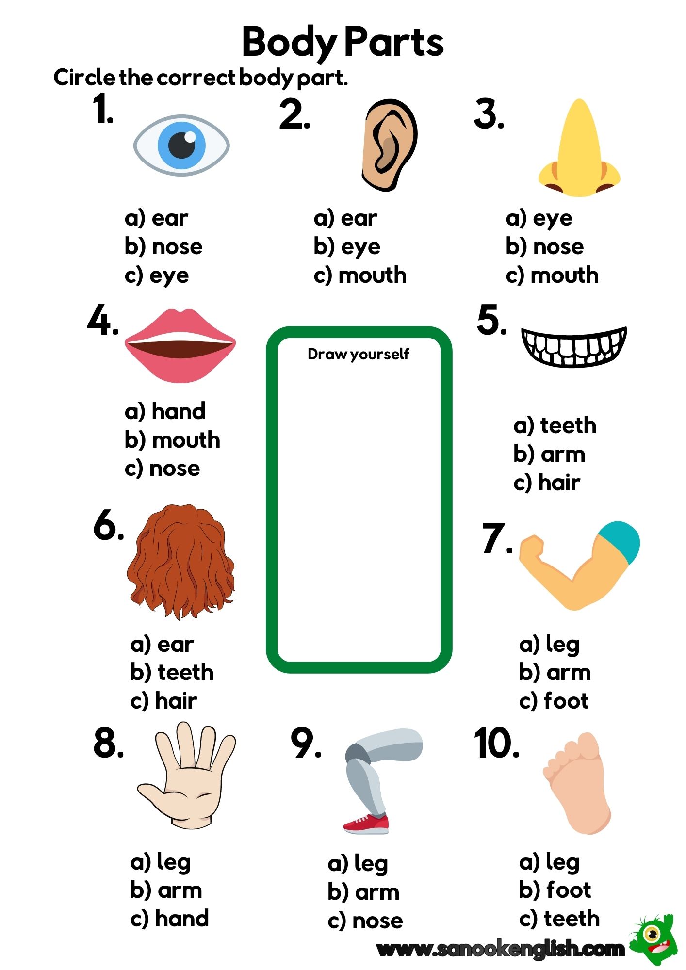 Parts of the Body Worksheets | 3 Free PDFs for Preschool