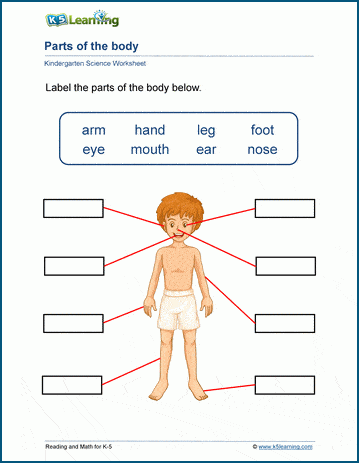 body image worksheet