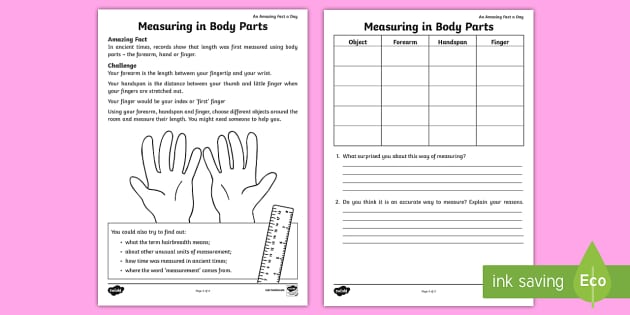 body measurement worksheet
