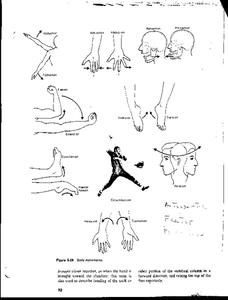 Body Movements Organizer for 9th - 11th Grade | Lesson Planet