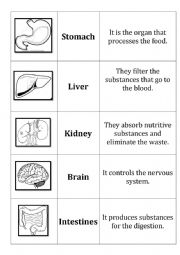 body organs and their functions worksheet