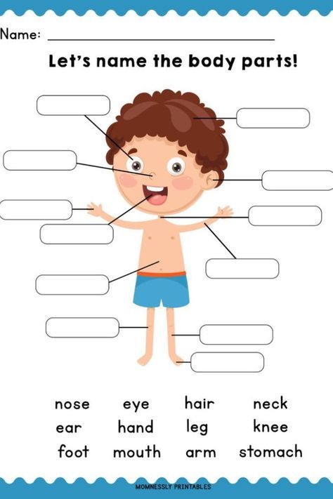 body part worksheet for kindergarten