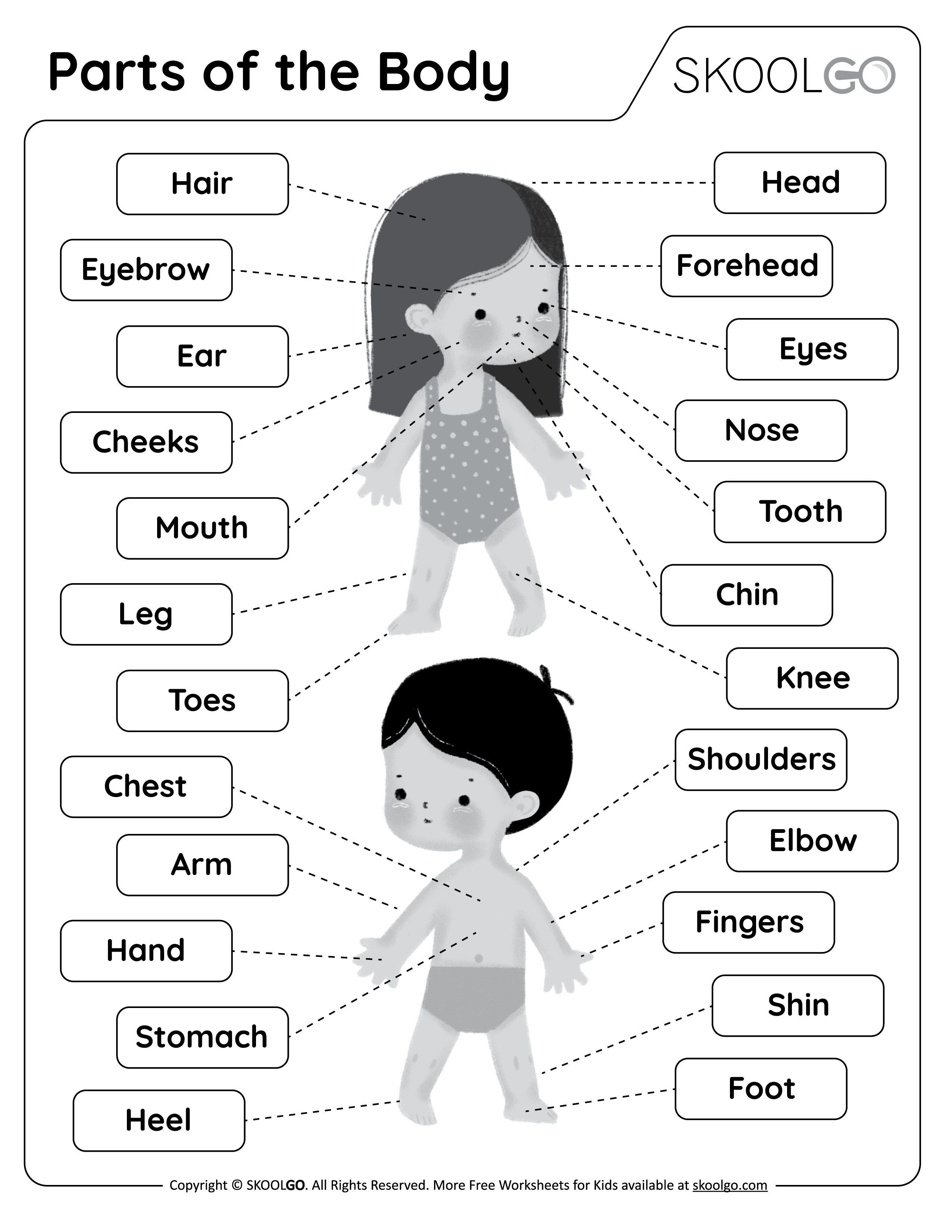 body part worksheet for kindergarten