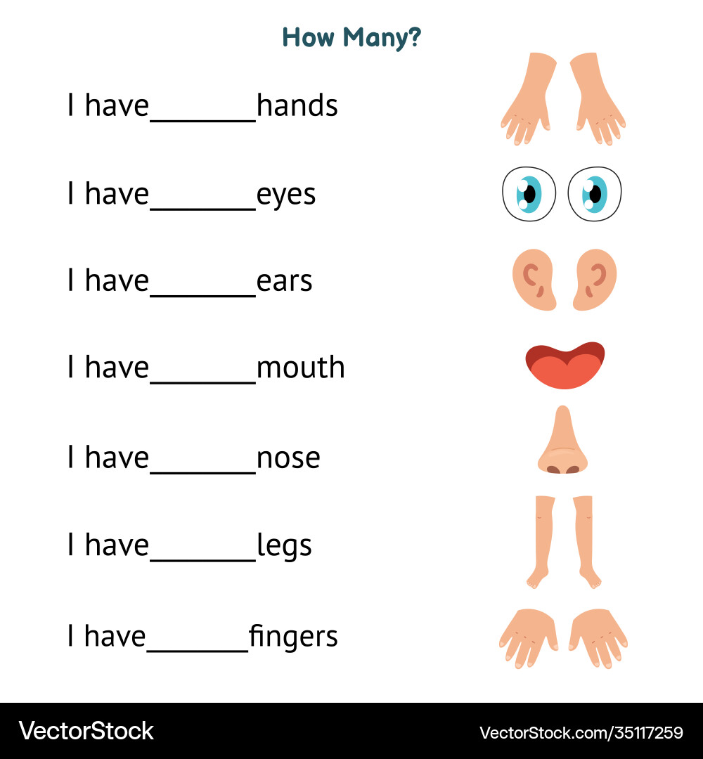 body part worksheet for kindergarten