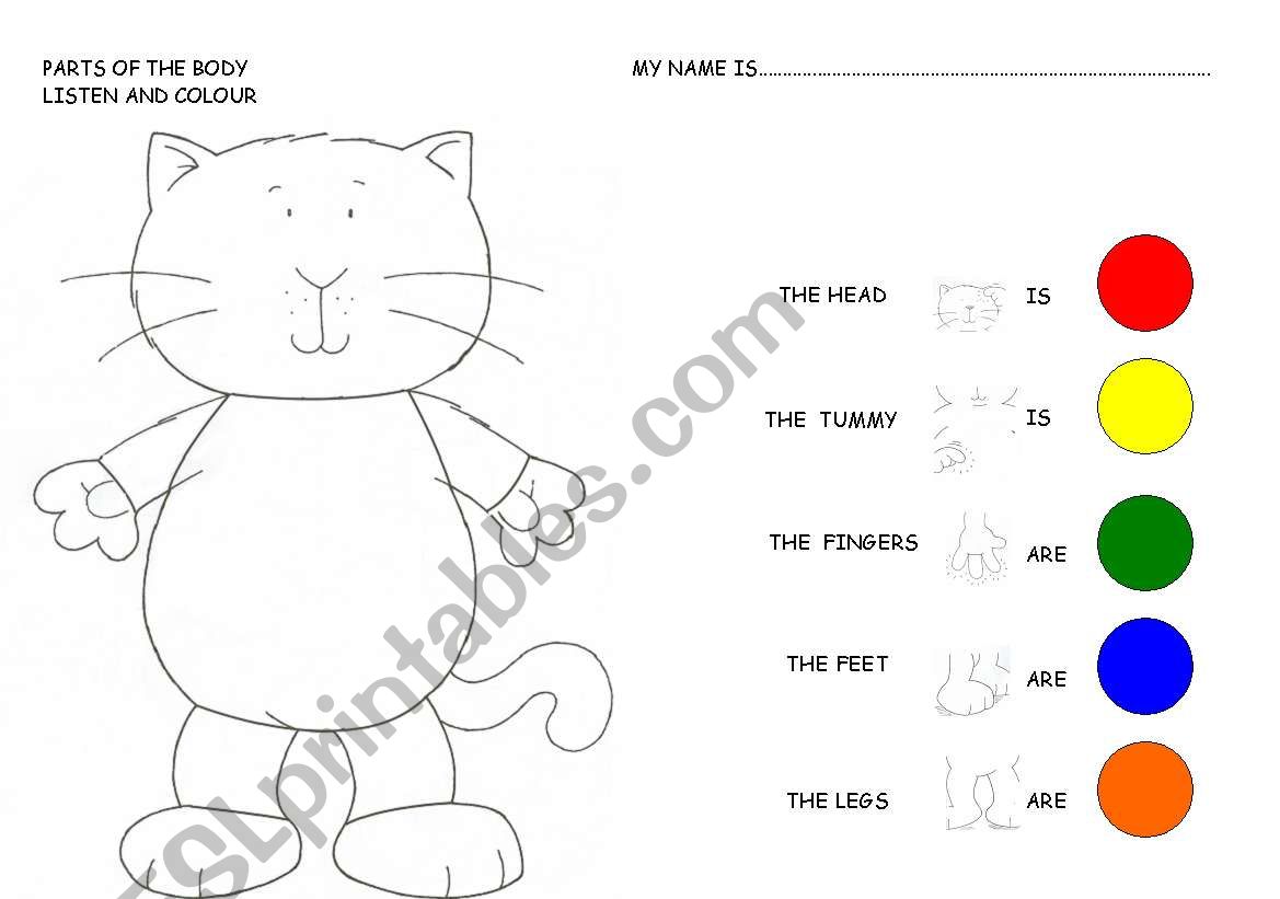 body parts worksheet for kinder