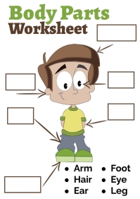 body parts worksheet for kinder