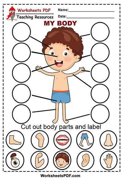 body parts worksheet for preschoolers