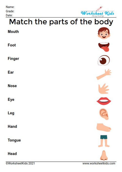 Body parts worksheet and activities for preschoolers and ...