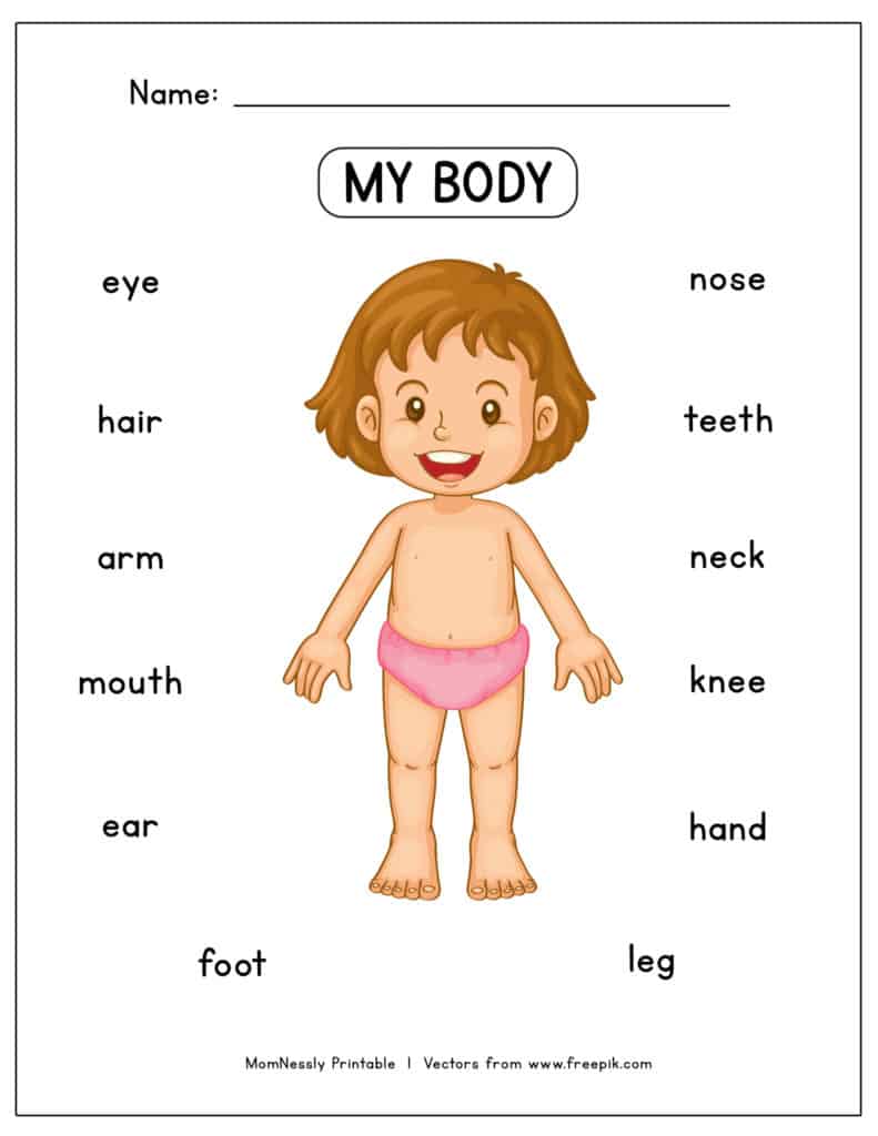 body parts worksheet for preschoolers