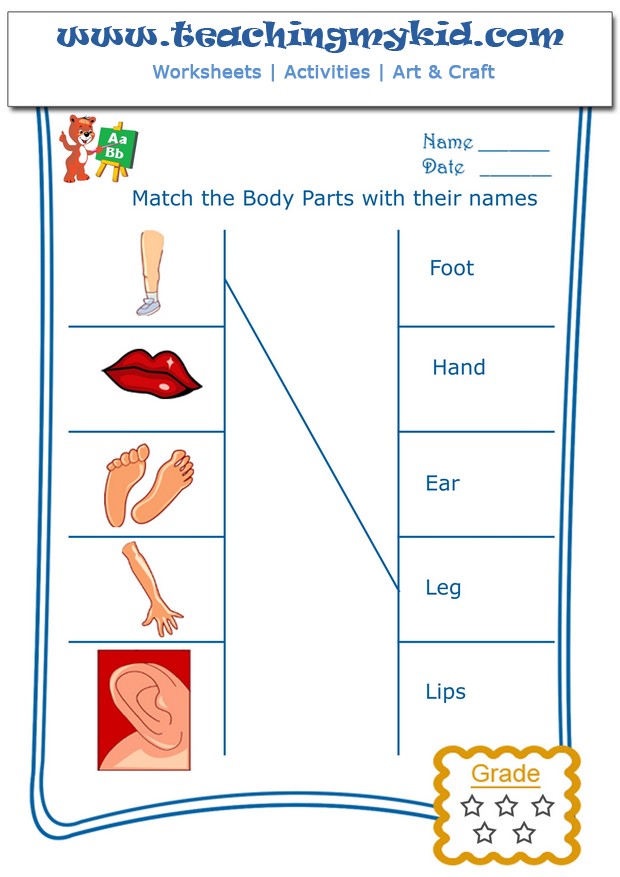 body parts worksheet kindergarten