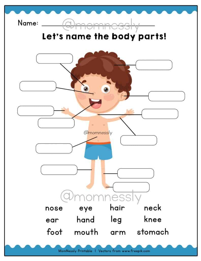 body parts worksheet preschool