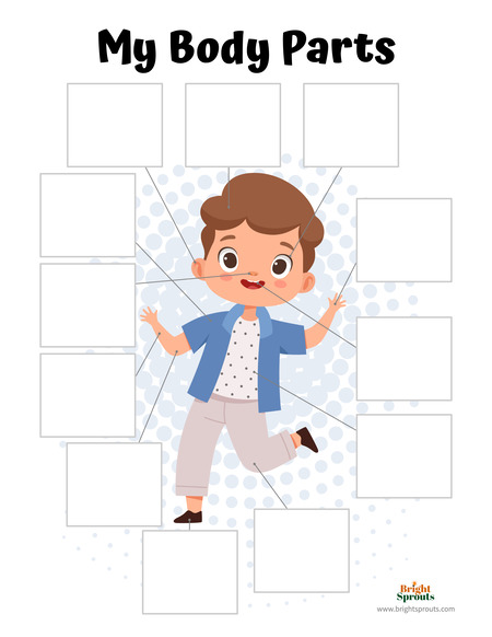 body parts worksheet preschool