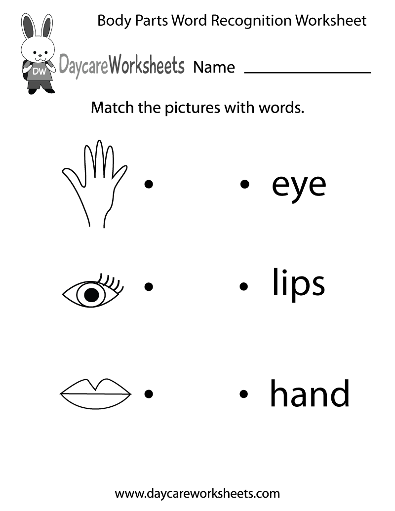 body parts worksheet preschool