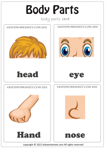 Body Parts worksheet (home schooling and online class)