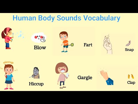 body sounds worksheet