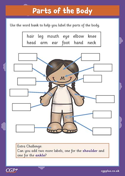 Label Parts of Body (Year 1) | CGP Plus