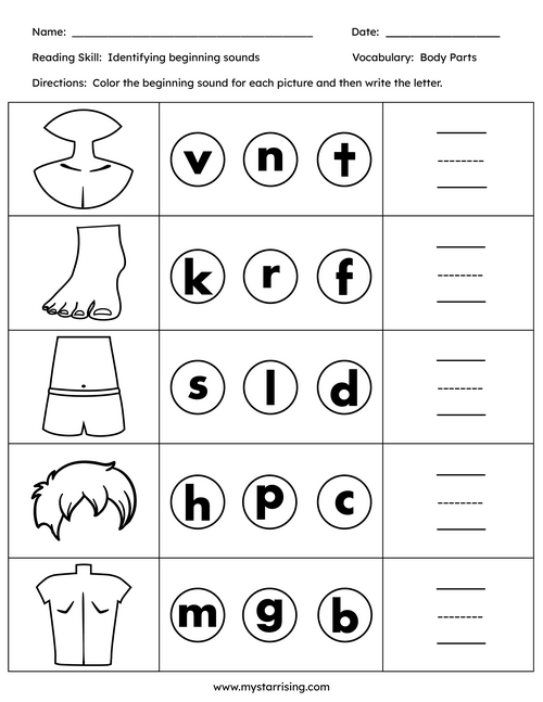 body sounds worksheet