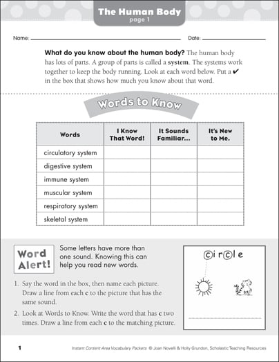 The Human Body: Science Vocabulary | Printable Skills Sheets