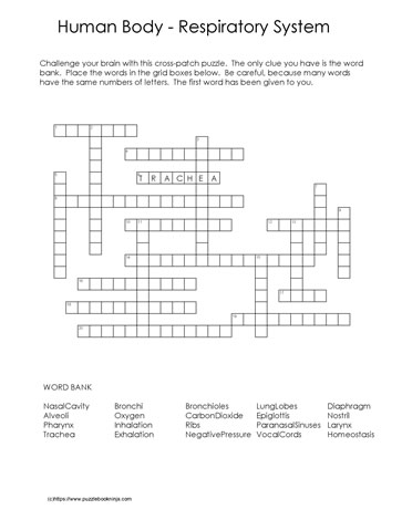 body system challenge worksheet answers