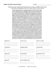 body system worksheet answer key