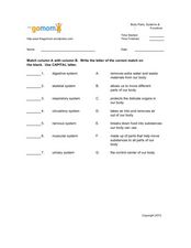 Body Parts, Systems &  Functions Worksheet for 4th - 12th Grade ...