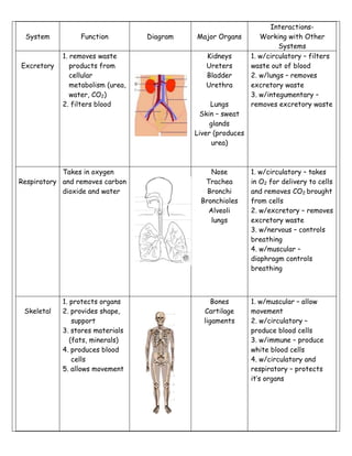 Body system-study-sheet | PDF