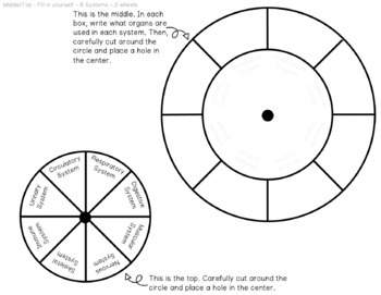 The Human Body Systems Practice Activity Wheel
