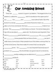 Human Body Printables Worksheets