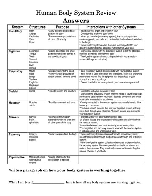 body systems review worksheet