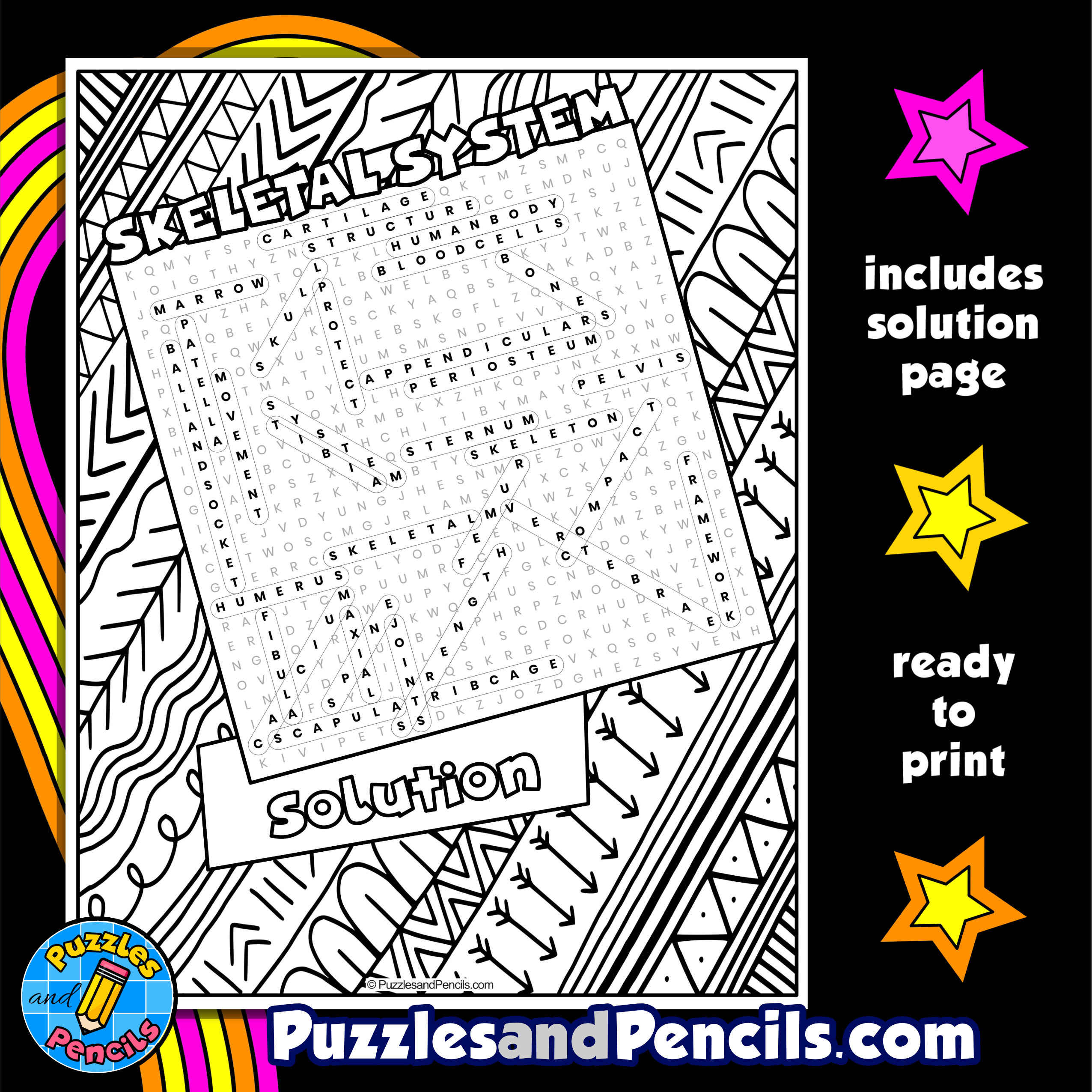 body systems word search answers