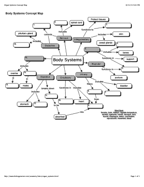 body systems worksheet answers