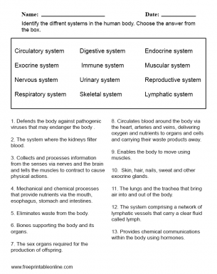 Systems In The Human Body - Middle School Science