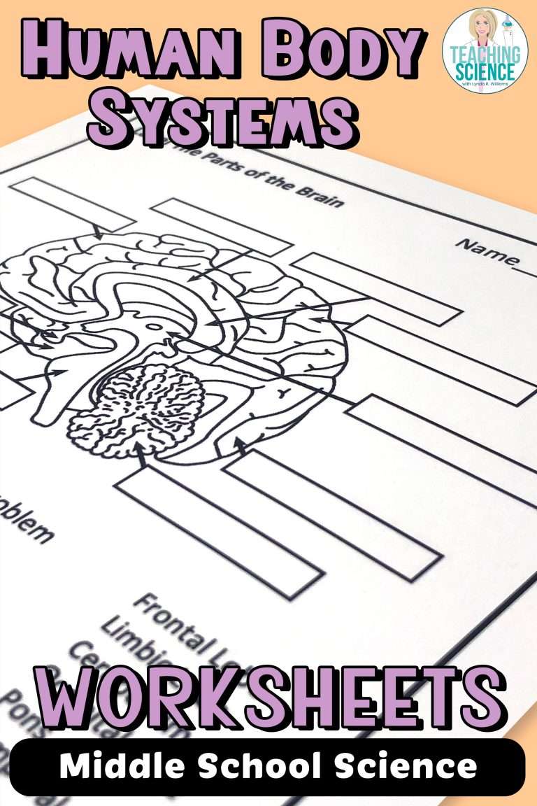 Human Body Systems Worksheets for Middle School Science and ...