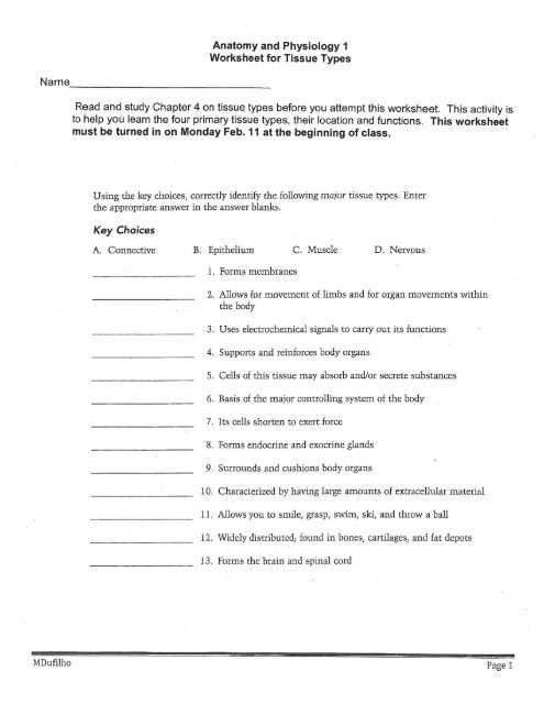Anatomy and Physiology 1 Worksheet for Tissue Types