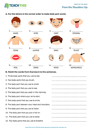 Parts of the Body ESL Games Activities Worksheets